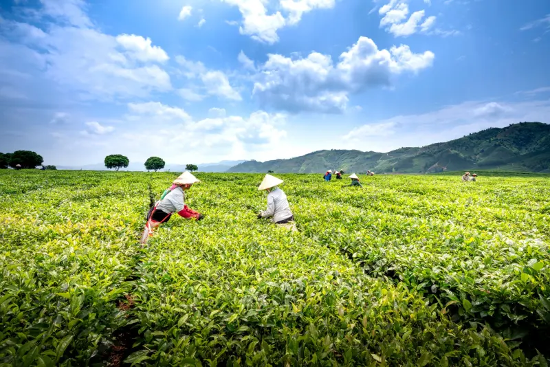 广东体育培训行业标准与青少年赛事运营规范解读