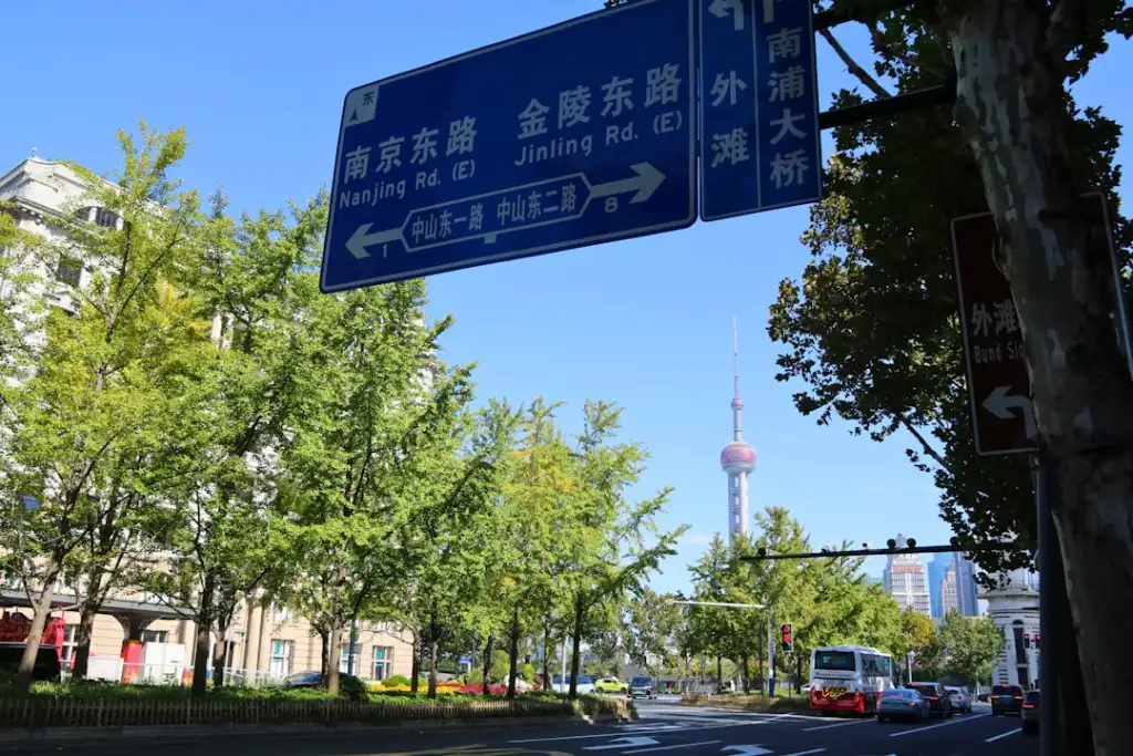 广东体育培训新趋势：青少年赛事运营与体育文化融合发展路径