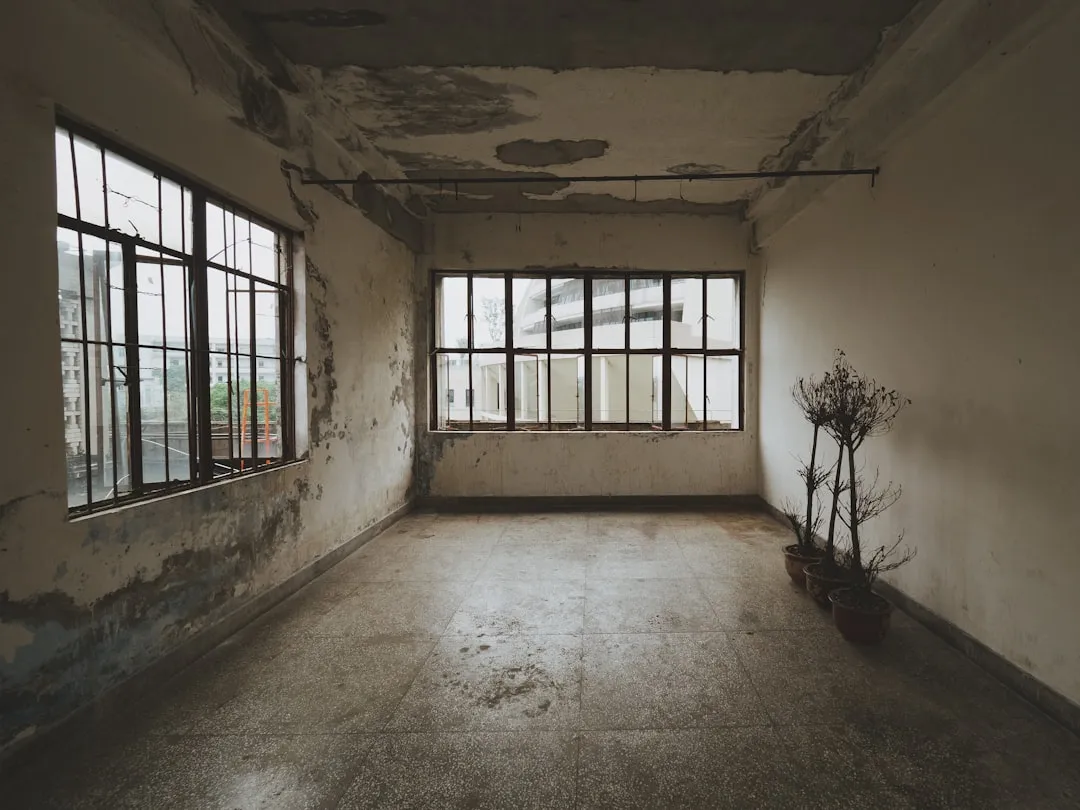 2025广东青少年体育培训市场趋势与赛事运营新机遇